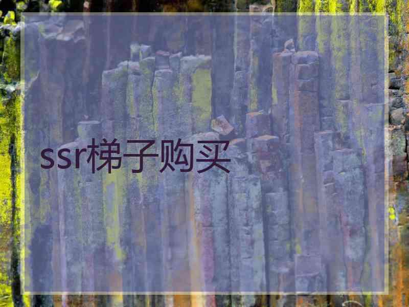 ssr梯子购买
