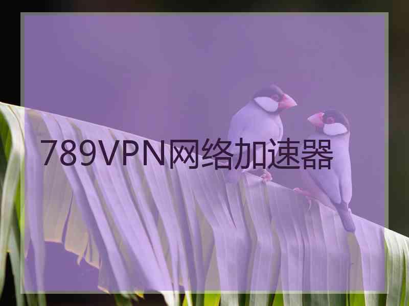 789VPN网络加速器