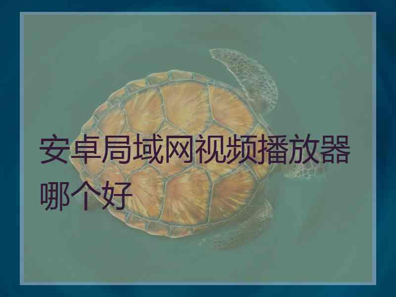 安卓局域网视频播放器哪个好