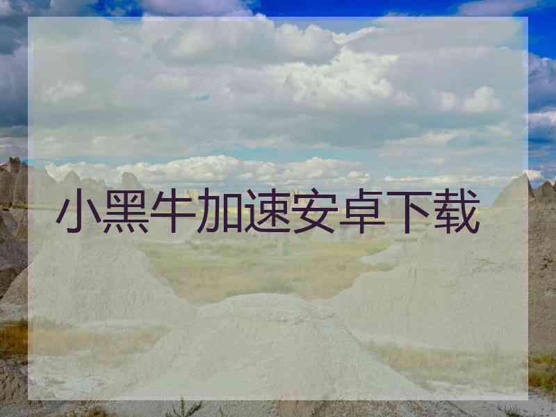 小黑牛加速安卓下载