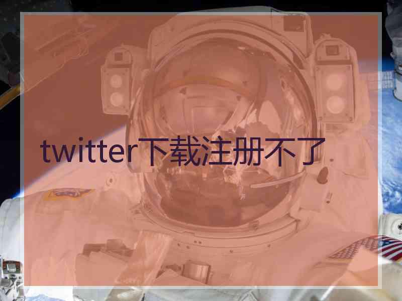 twitter下载注册不了