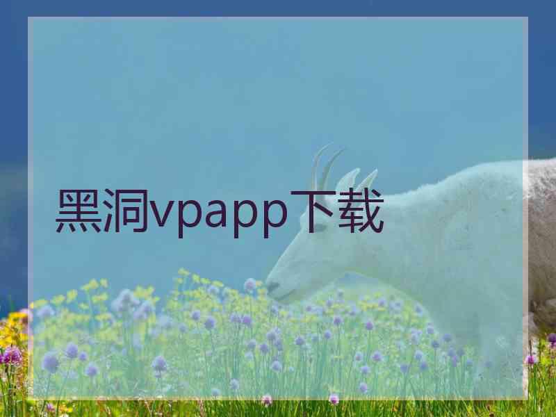 黑洞vpapp下载