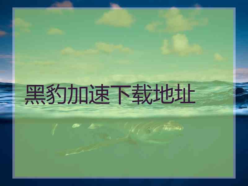 黑豹加速下载地址