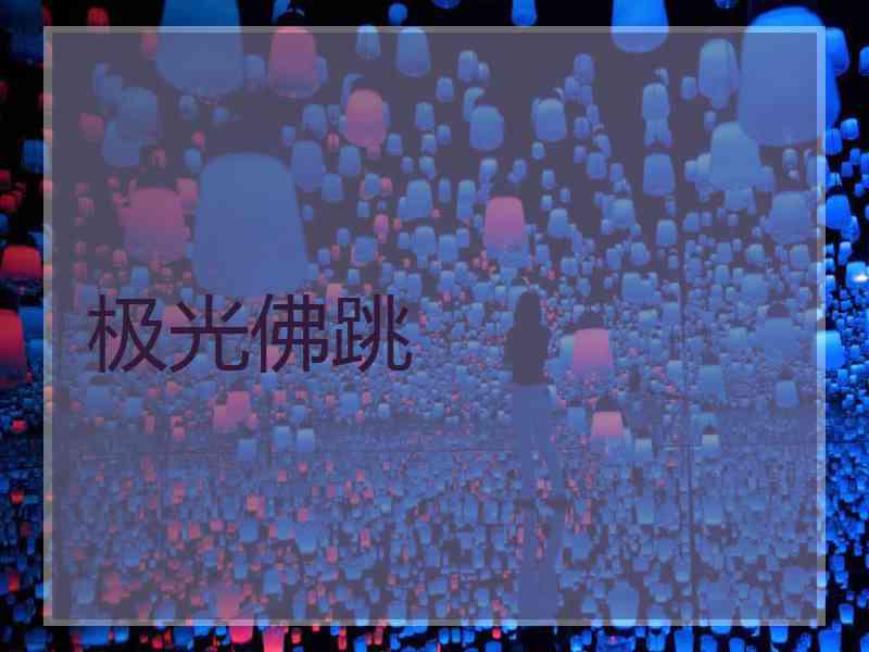 极光佛跳