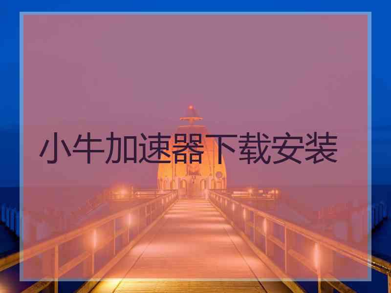 小牛加速器下载安装