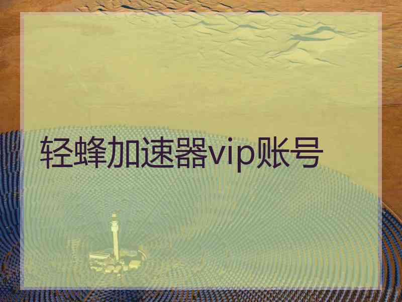 轻蜂加速器vip账号