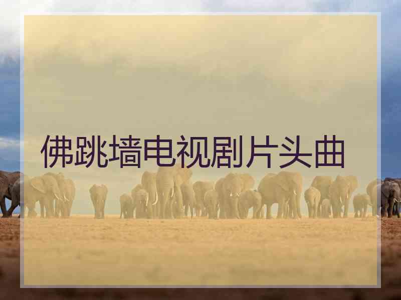 佛跳墙电视剧片头曲