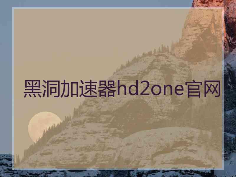 黑洞加速器hd2one官网