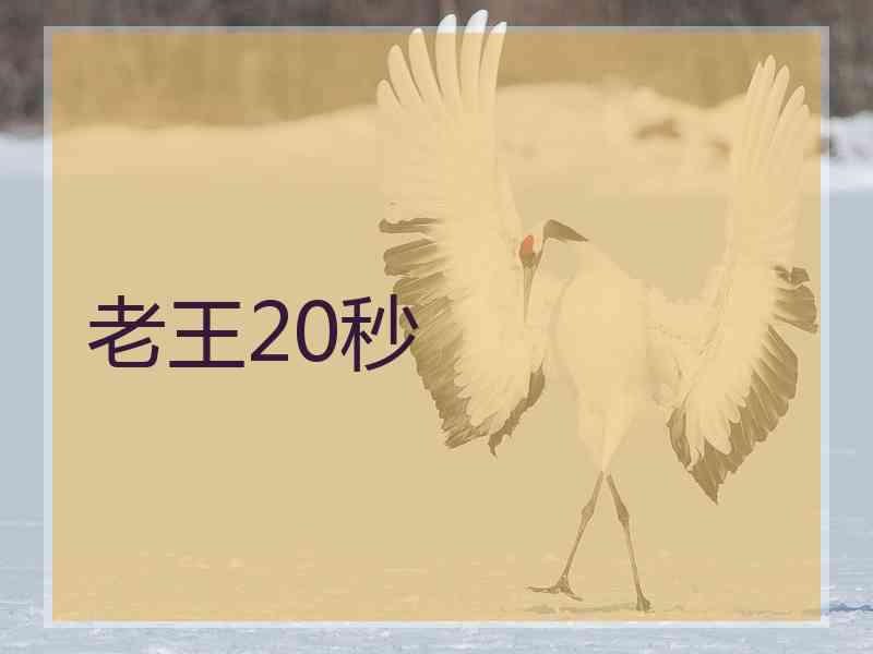 老王20秒