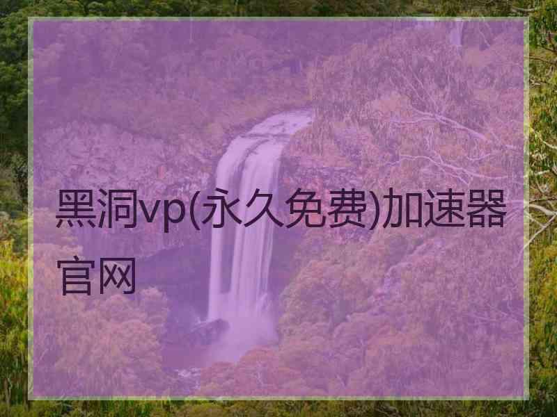 黑洞vp(永久免费)加速器官网