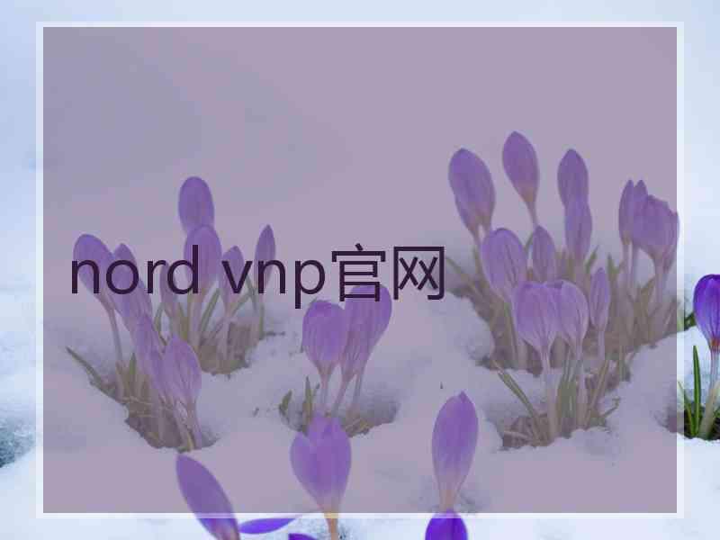 nord vnp官网