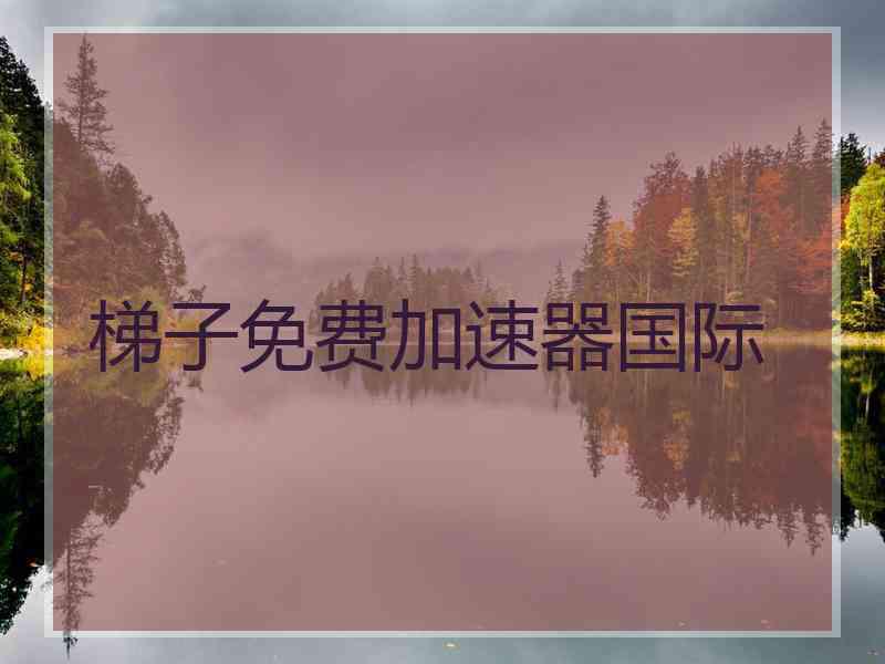 梯子免费加速器国际