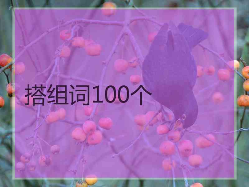 搭组词100个