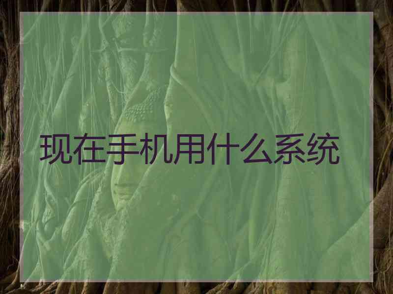 现在手机用什么系统