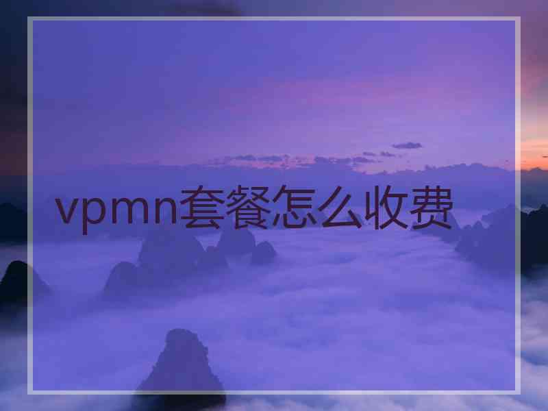 vpmn套餐怎么收费