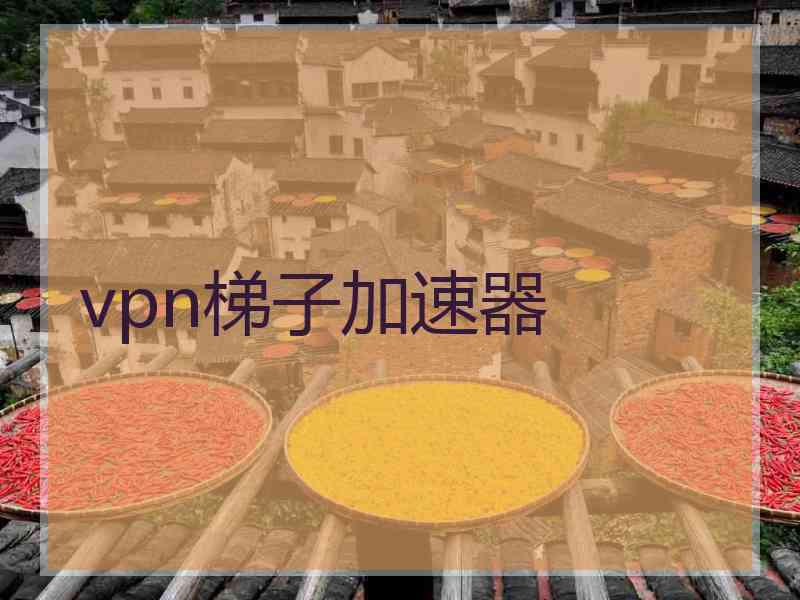 vpn梯子加速器