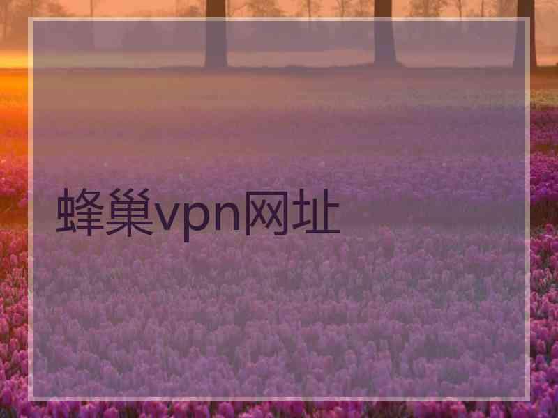 蜂巢vpn网址
