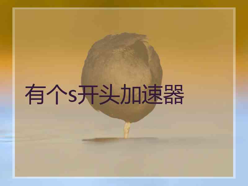 有个s开头加速器