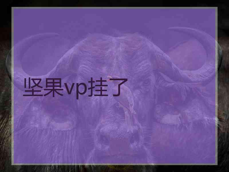 坚果vp挂了