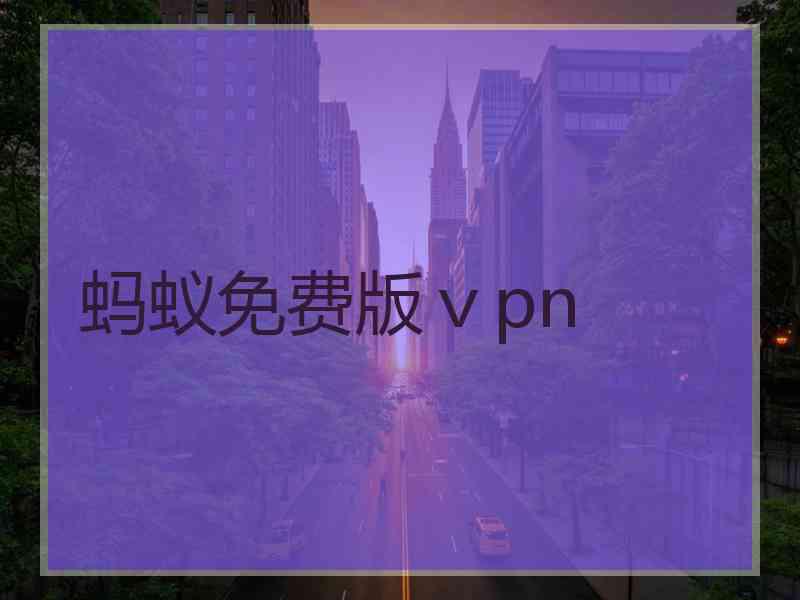 蚂蚁免费版ⅴpn