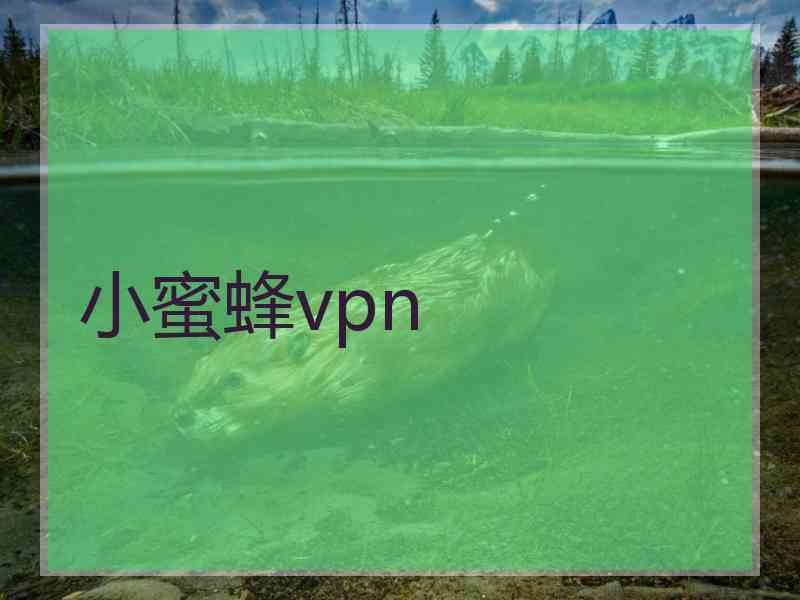 小蜜蜂vpn