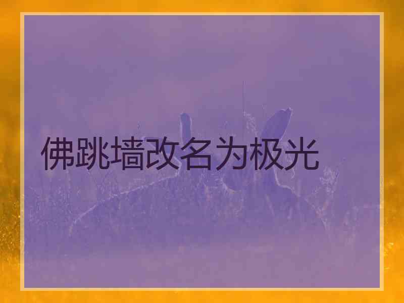 佛跳墙改名为极光
