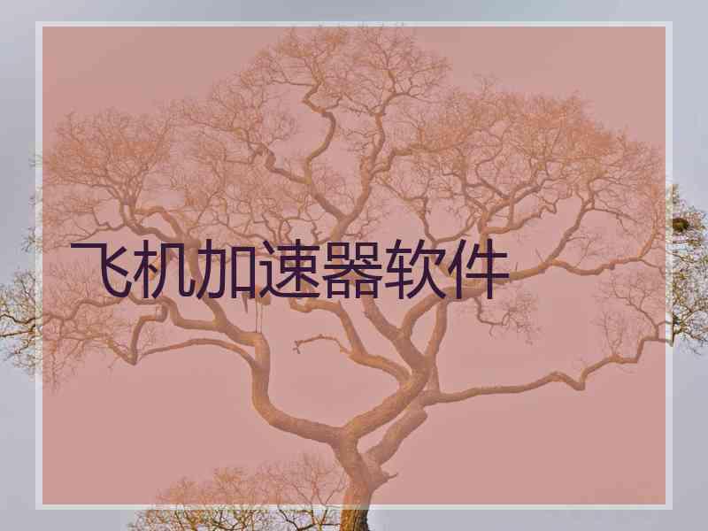 飞机加速器软件