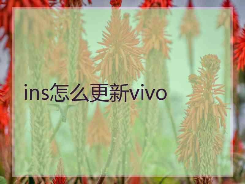 ins怎么更新vivo
