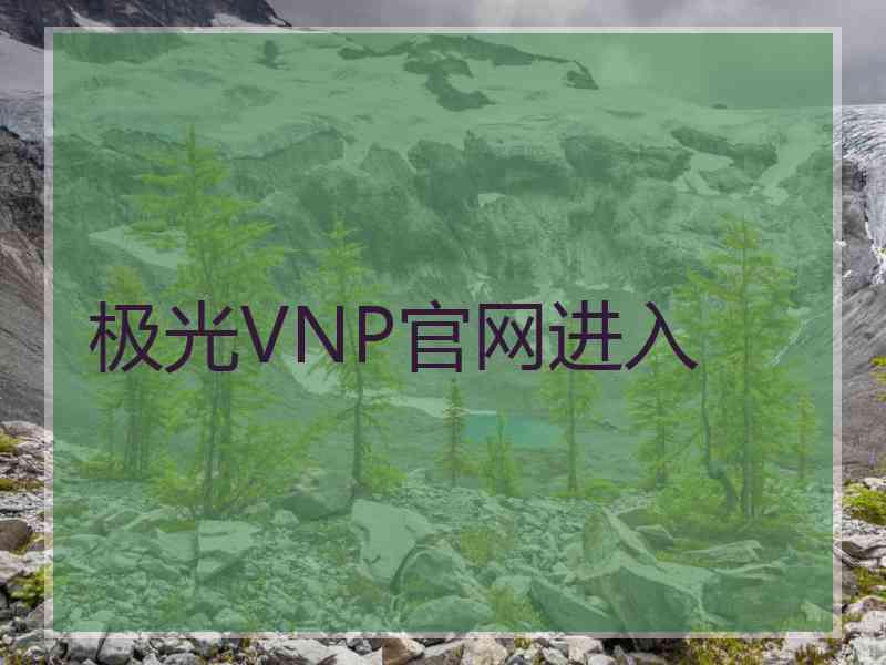 极光VNP官网进入