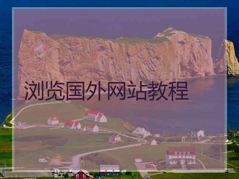 浏览国外网站教程