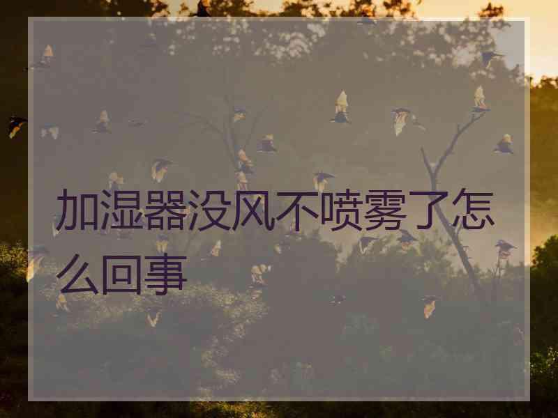 加湿器没风不喷雾了怎么回事