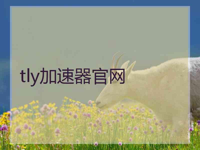 tly加速器官网
