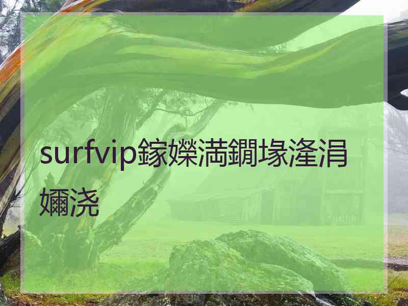 surfvip鎵嬫満鐗堟湰涓嬭浇