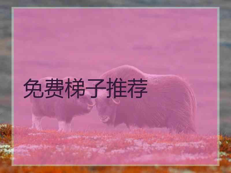 免费梯子推荐