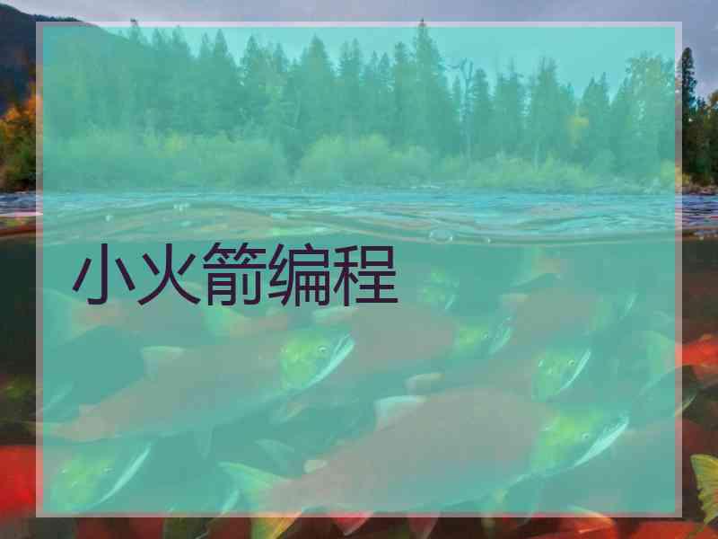 小火箭编程