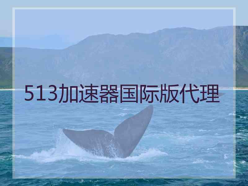 513加速器国际版代理