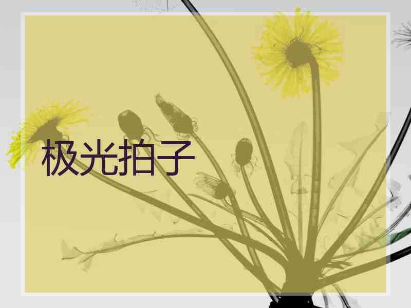 极光拍子