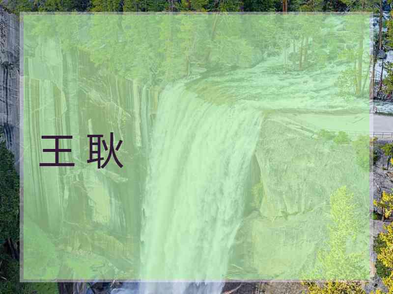 王 耿