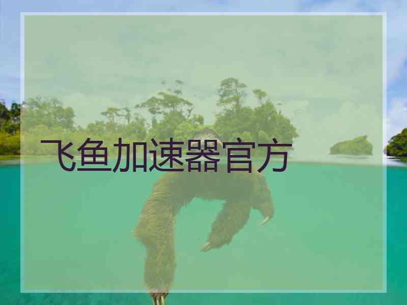 飞鱼加速器官方