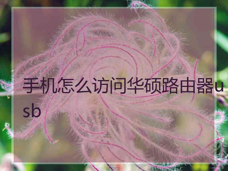 手机怎么访问华硕路由器usb