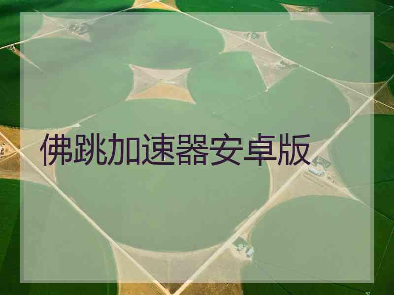 佛跳加速器安卓版
