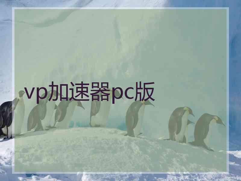 vp加速器pc版