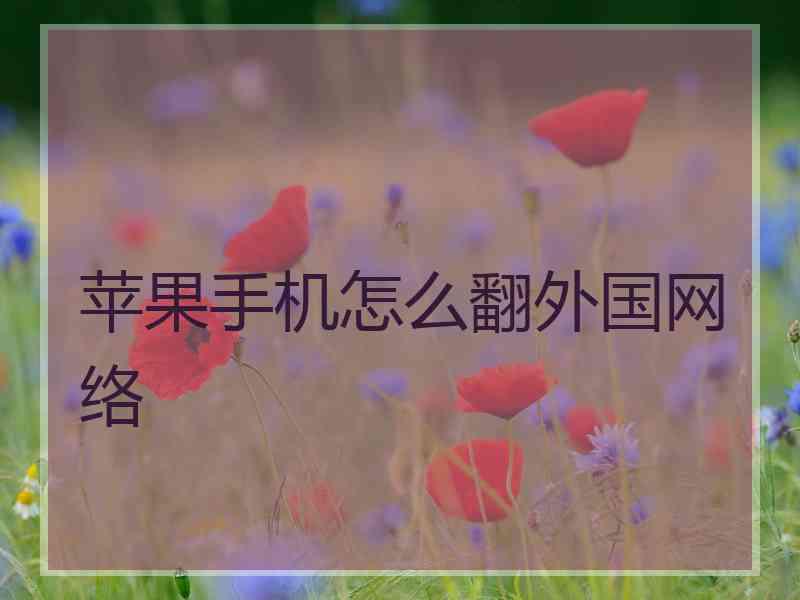 苹果手机怎么翻外国网络