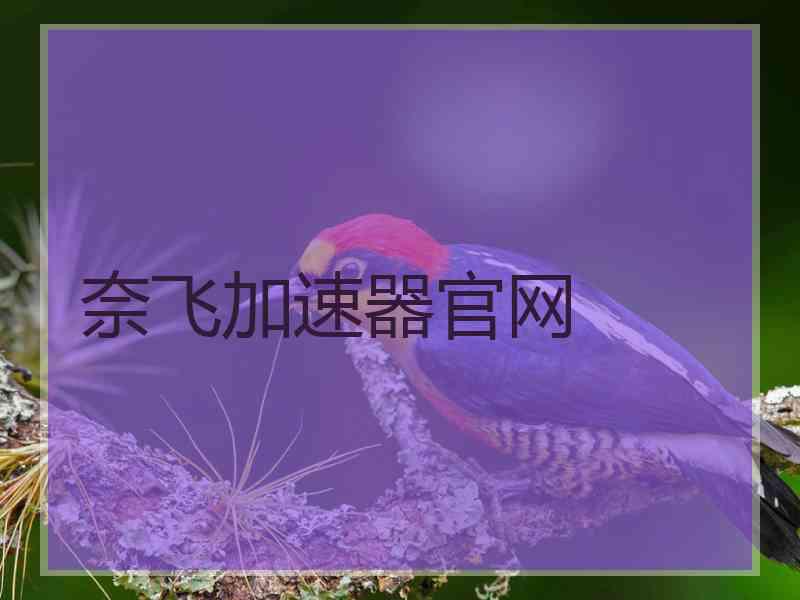 奈飞加速器官网