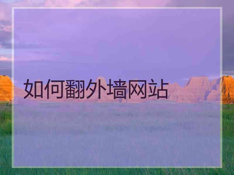 如何翻外墙网站