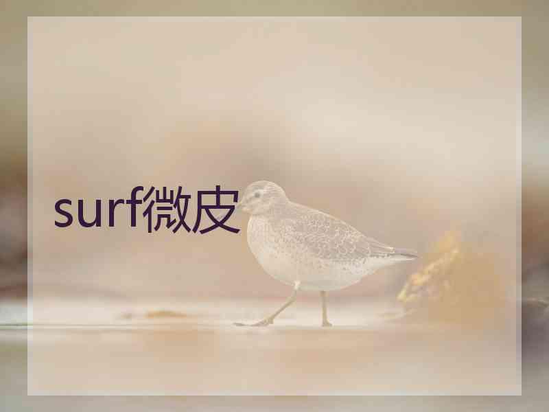 surf微皮