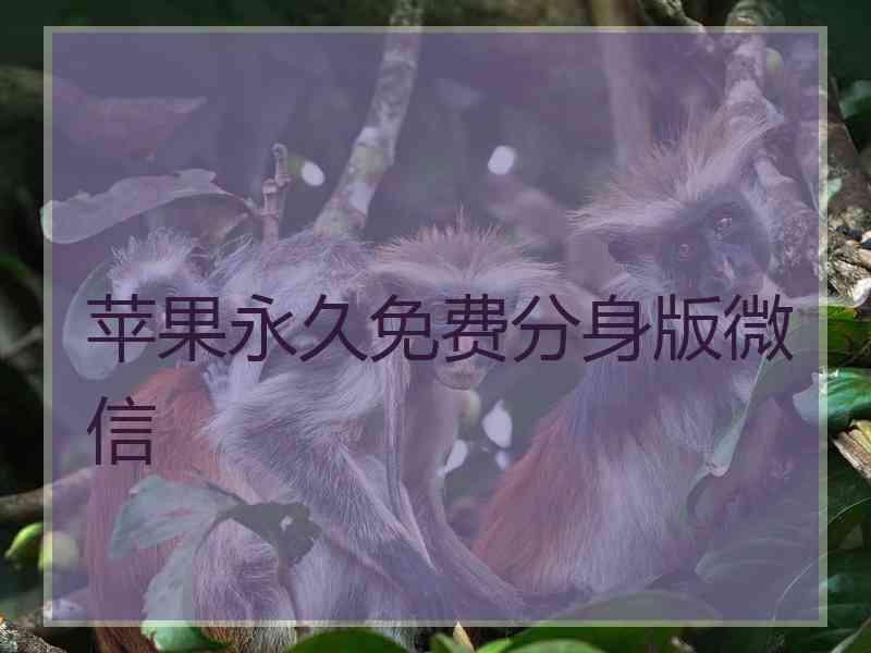 苹果永久免费分身版微信