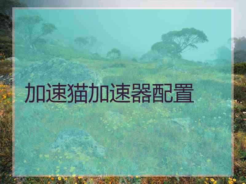 加速猫加速器配置