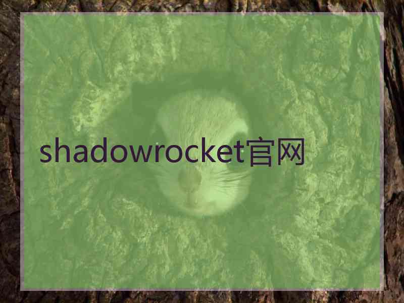 shadowrocket官网