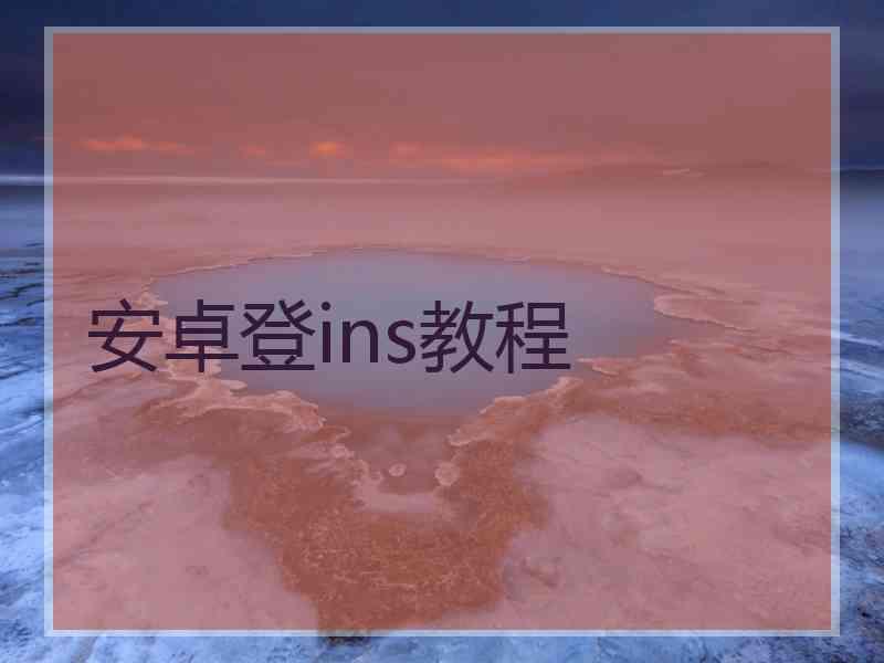 安卓登ins教程